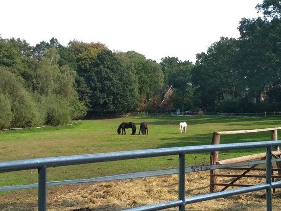 Village musée Volksdorf